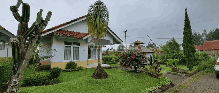 Villa Galaxy Resort Di Cipanas Cianjur Jawa Barat 1