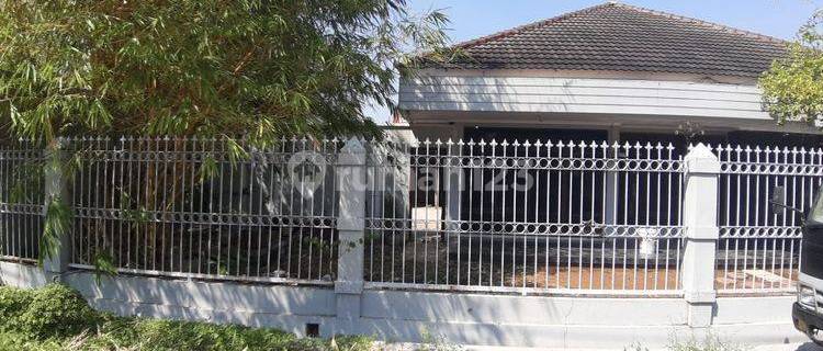 House for Rent in Puri Anjasmoro with Good SHM, Facing North 1