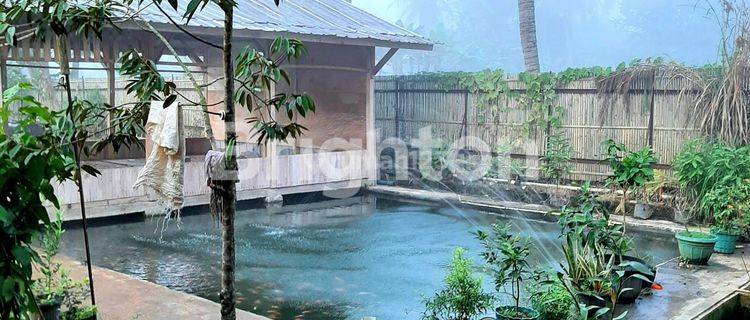 Rumah Murah Dan Luas Pandeglang Banten 1