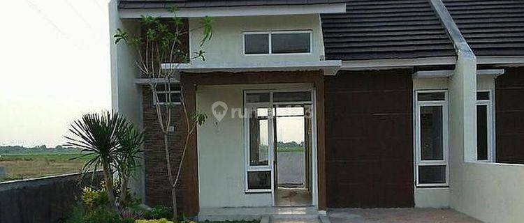 Grand Park Residence Dp Hanya 10% Angsuran 4 Jutaan Unit Ready 1