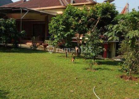 Rumah Luas, Asri n Murah 2 Lt + Kolam Renang di Kavling DPR, Ciganjur 1