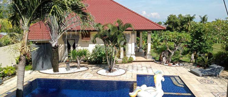 Hillside Villa in Panji, with guest houses and beautiful view 1