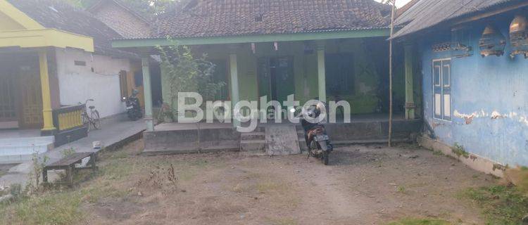 rumah kampung hitung tanah, di singkalan - Balong Bendo 1