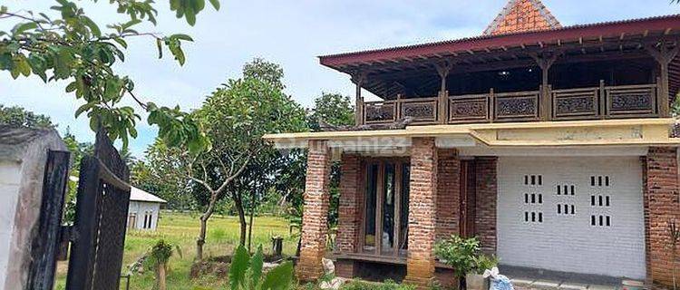 Villa Pelabuhan Ratu Cikakak 1