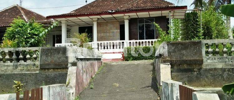 RUMAH HITUNG TANAH DI JLN WATES KULONPROGO 1