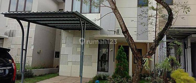 Dikontrakan Rumah Bagus Di Sentul City Siap Huni 1