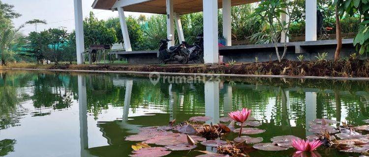 Murah Villa/Resort dengan Pemandangan Yang Bagus @Bandung Ludologi Garden 1