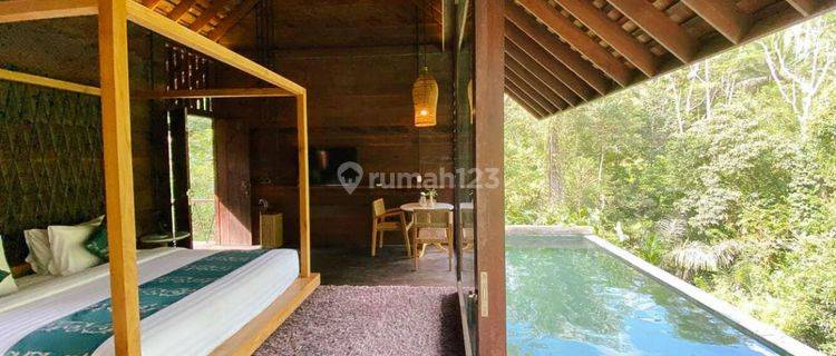 VILLA NUANSA ALAM DIKAWASAN ELIT UBUD BALI 1