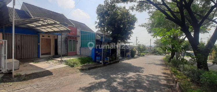 DISEWAKAN RUMAH MAIN ROAD 14 METER COCOK BUAT USAHA 1