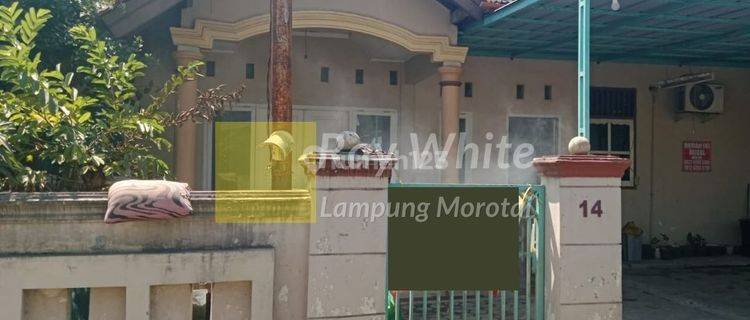 Rumah Tanah Luas di Sukabumi Bandar Lampung 1