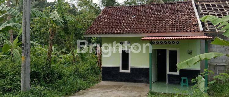 RUMAH DIJUAL Mangku Aspal Lebar, JALAN WATES KM 09 1