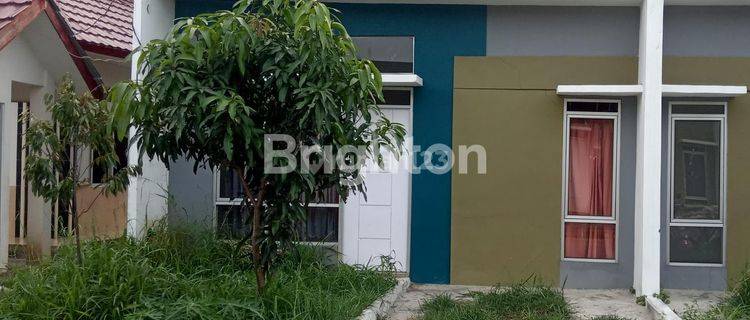 RUMAH MURAH DEKAT IPB DRAMAGA BOGOR 1