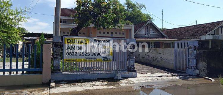 RUMAH ISTIMEWA 2 LANTAI DI TENGAH KOTA JOMBANG 1