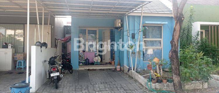 RUMAH 1 LT DI BUKIT PALMA CITRALAND SURABAYA 1