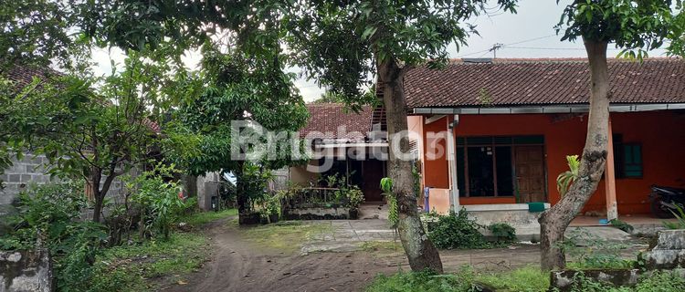 RUMAH BANGUNAN LAMA, ADA KOST KOSTAN LUAS 916 M2 1