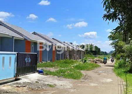 Mau Rumah Asri Dan Sejuk Dengan Harga Terjangkau 1