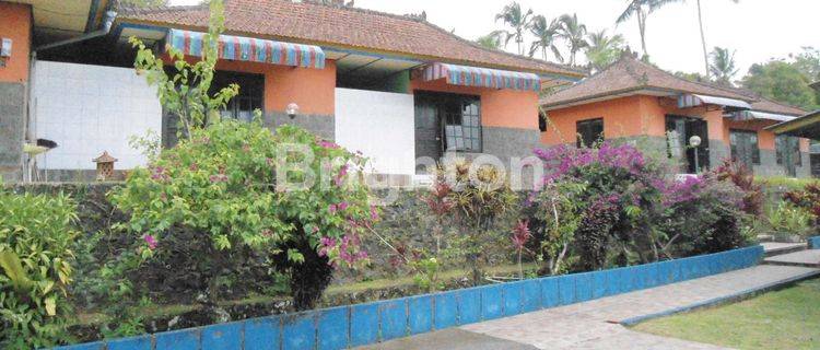 VILLA PONDOK WISATA DI PUPUAN HITUNG TANAH SAJA 1
