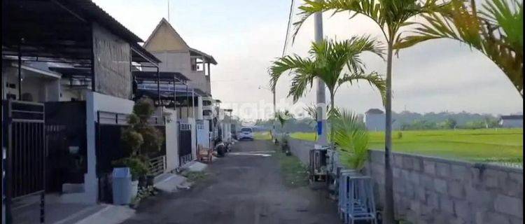 Rumah Minimalis View Sawah Dekat Tabanan Kota 1