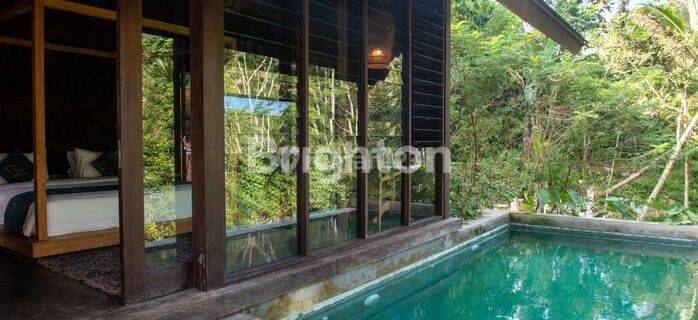 Modern Tropical Villa With Forest And River View Di Ubud 1