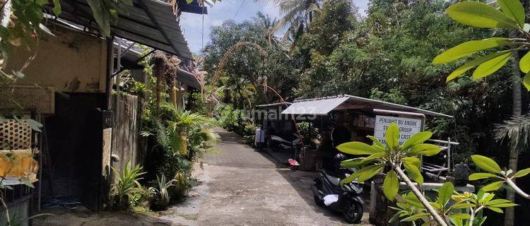 RUMAH BTN PELAGAN DENPASAR 1132 1