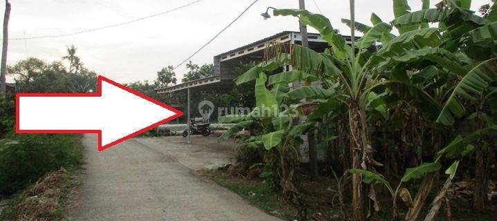 RUMAH PIDODOWETAN KENDAL 35100 1