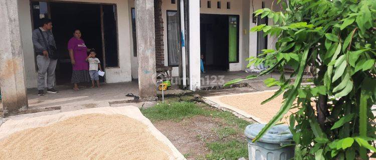 RUMAH PENGUMBULANADI LAMONGAN 41927 1