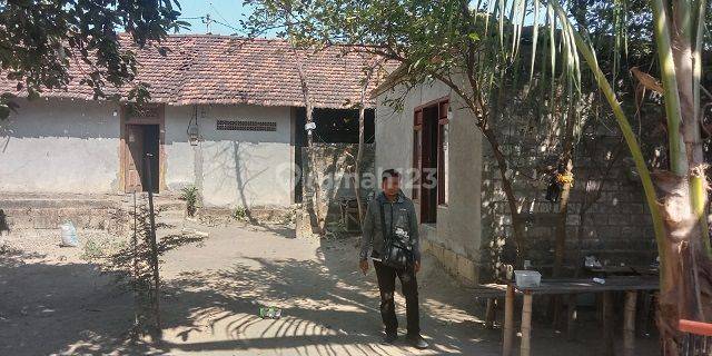 RUMAH MENILO TUBAN 64524 1