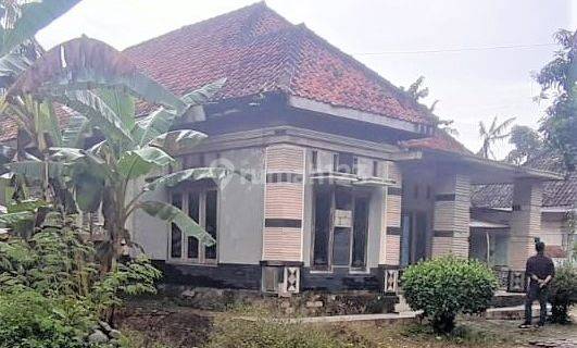 RUMAH KEBOJONGAN PEMALANG 61691 1