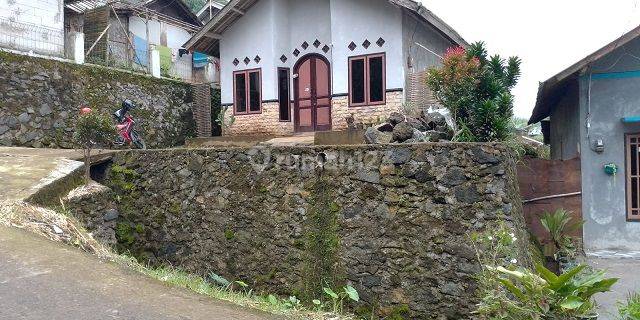 RUMAH SOYI PEMALANG 65684 1