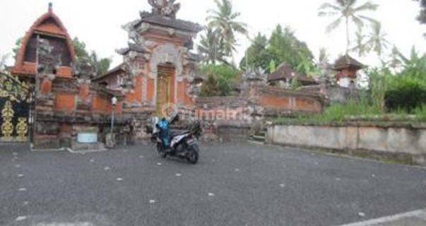 RUMAH SAMPLANGAN GIANYAR 70933 1