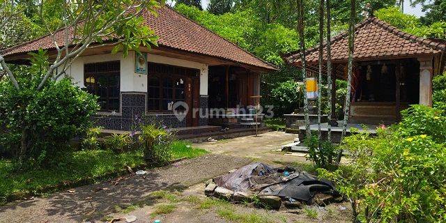 RUMAH SEMBUNG GEDE TABANAN 71013 1