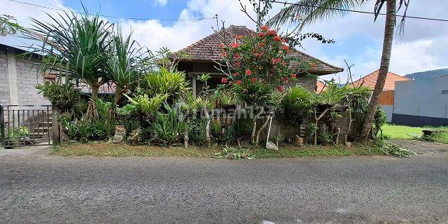 RUMAH KAYUPUTIH BULELENG 69278 1