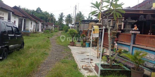 RUMAH TEGAL BADENG BARAT JEMBRANA 69283 1