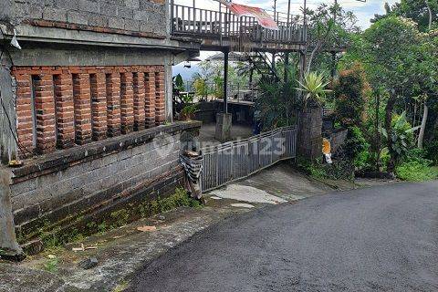 RUMAH SELAT BULELENG 69261 1