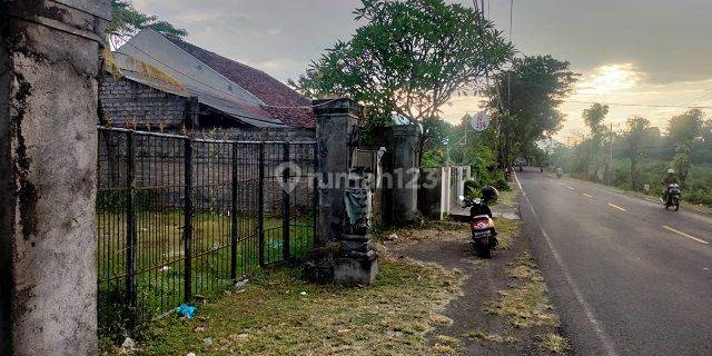 RUMAH TINGA-TINGA BULELENG 69267 1