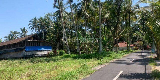 RUMAH BANJAR DINAS KARADAN TABANAN 70992 1