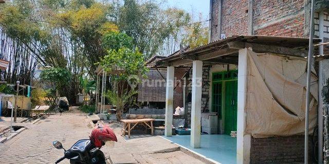 RUMAH NGEPUNG GRESIK 77130 1