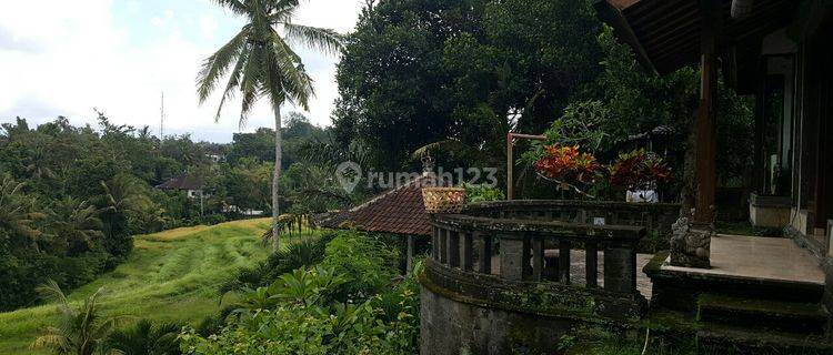 Villa tepi sungai dengan view bagus di Tabanan Bali 1