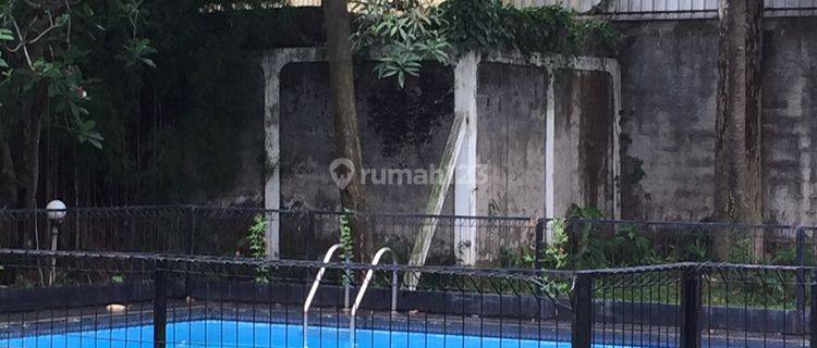 Rumah asri dan teduh dgn kolam renang dan taman luas di Ampera 1