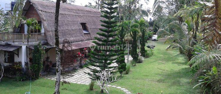 Charming Sebatu top villa with cool air 1