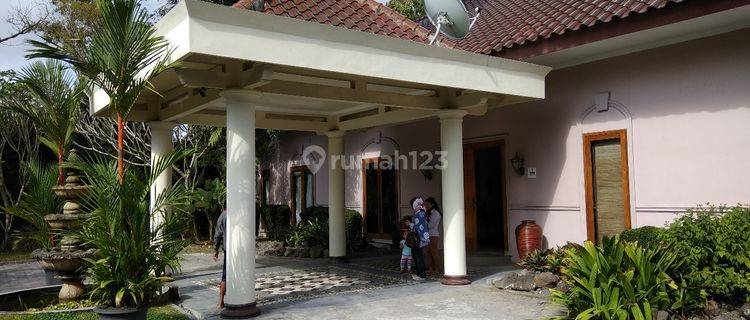 RUMAH MEWAH JL KALIURANG 1