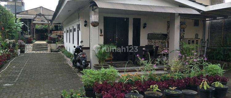 Rumah Tinggal dan Cafe yang sejuk asri 1