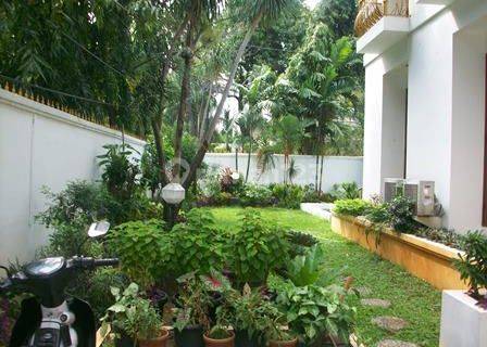 light house, large size room. Nice greeny garden at quiet area 1