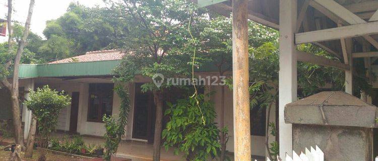 Rumah antik murah di jalan S Parman 1