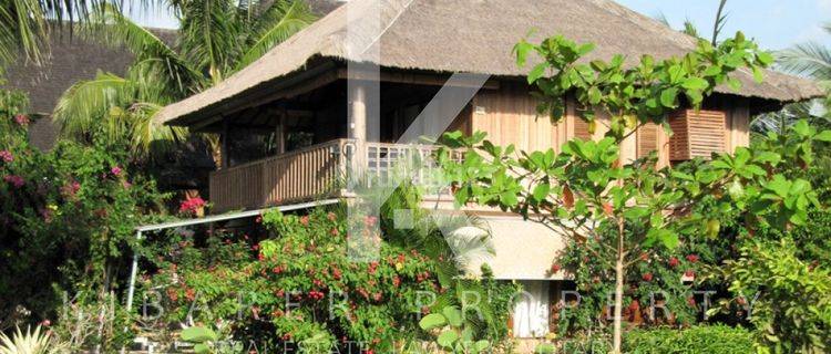 AMAZING FREEHOLD VILLA WITH SPACIOUS LAND IN BULELENG VL1721 1