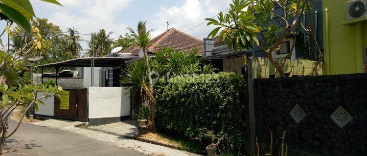 House for sale near central Lovina 1