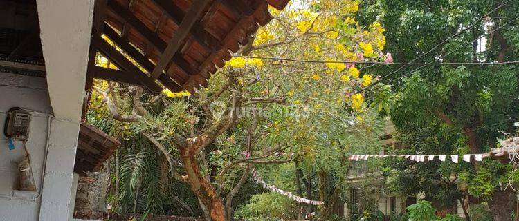 Rumah Di Tanah Kusir Kebayoran Lama 1