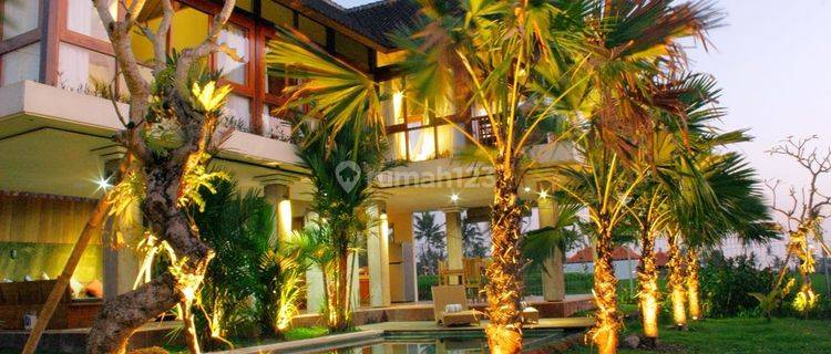 BEAUTIFUL VILLA WITH RICE VIEW IN UBUD 1