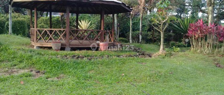 Rumah Villa mungil, Asri dengan halaman Luas 1