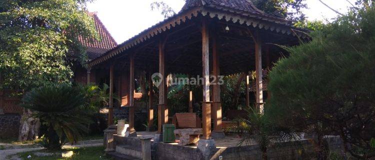 Rumah Joglo keren Siap masuk best price 1